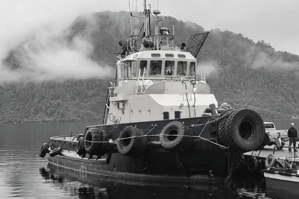 Damen Twin Screw Tug